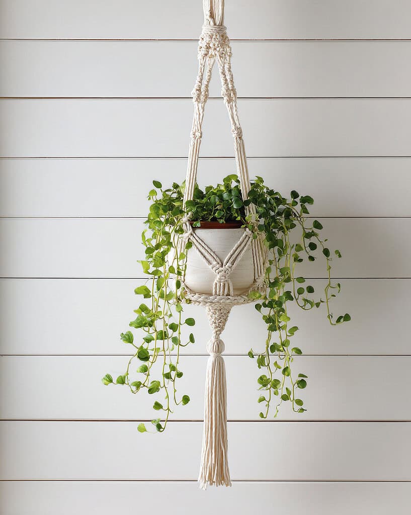 a hanging macramé plant stand suspended from the ceiling. 