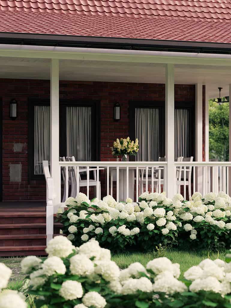 a cozy, inviting suburban house porch surrounded by lush white hydrangea bushes in full bloom