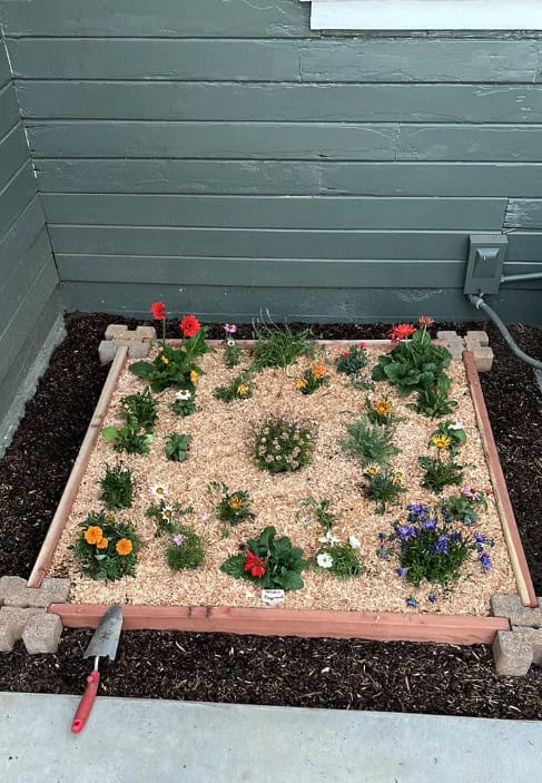 a small, square ornamental flower bed full of mulch situated in a residential corner between green-painted wooden siding walls.