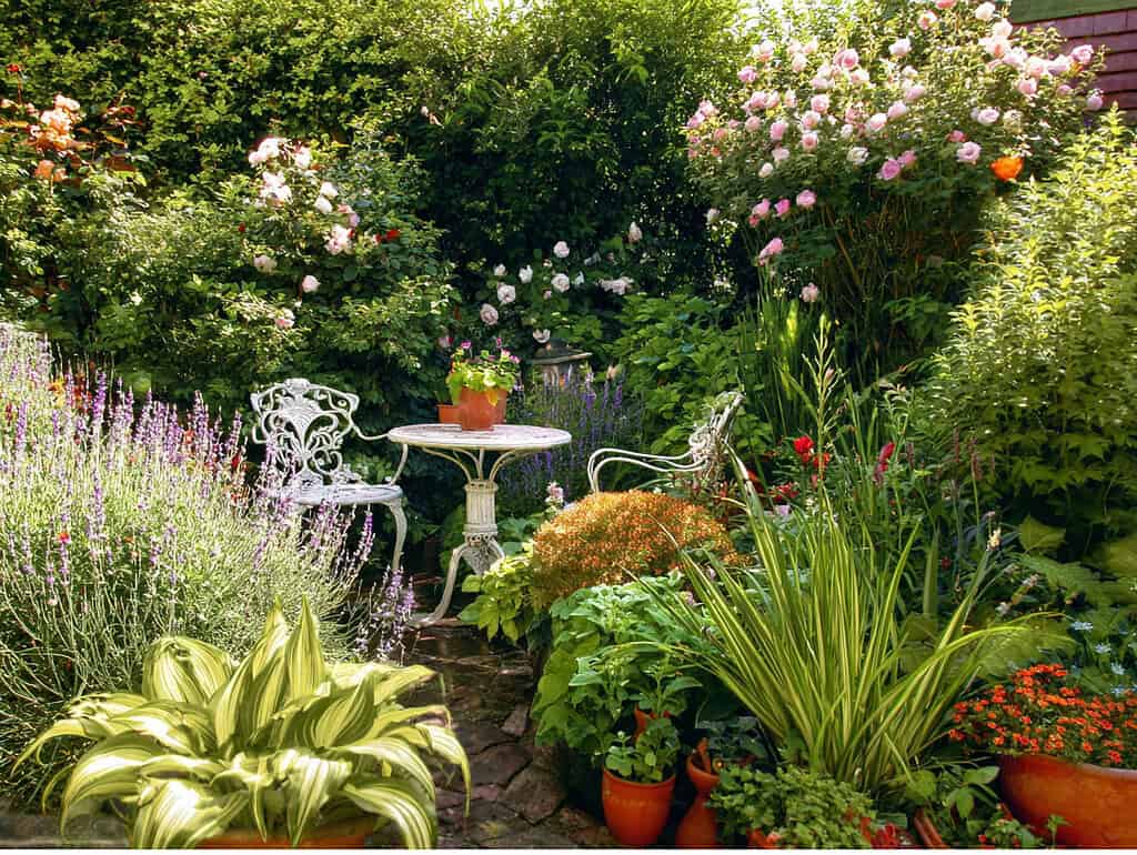 a charming English-style cottage garden in full summer bloom