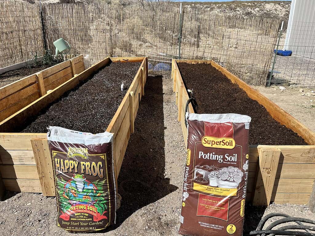 a backyard garden scene featuring two freshly filled raised wooden garden beds.