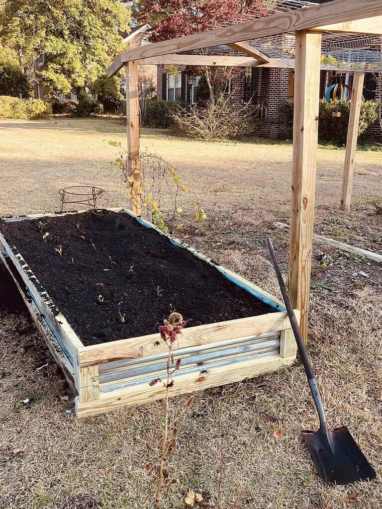 a freshly prepped raised garden bed in a suburban yard during autumn