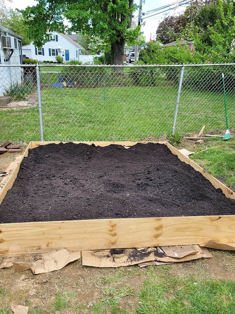 a freshly built raised garden bed filled with rich, dark compost soil, ready for planting.
