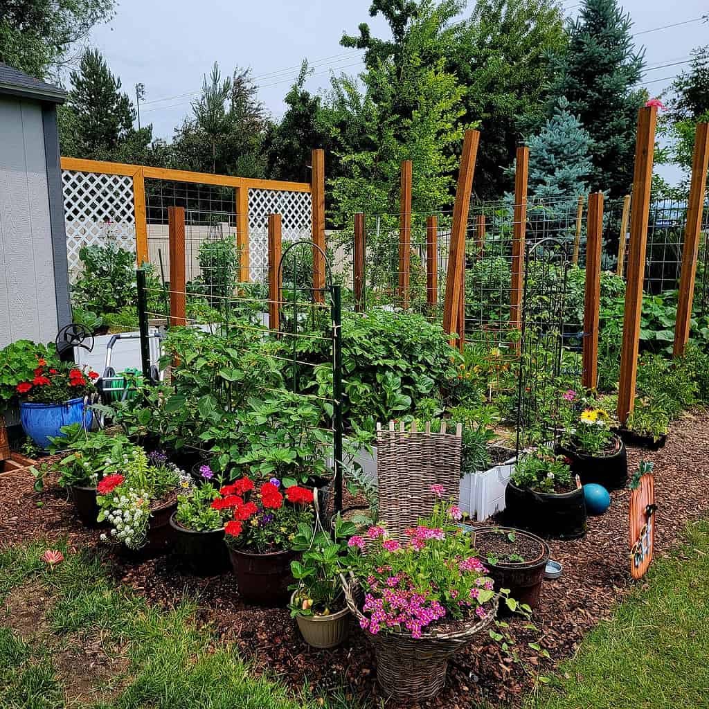 a vibrant backyard vegetable and flower garden in peak summer.