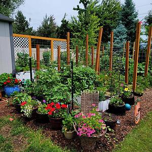 How to Design a Small Garden