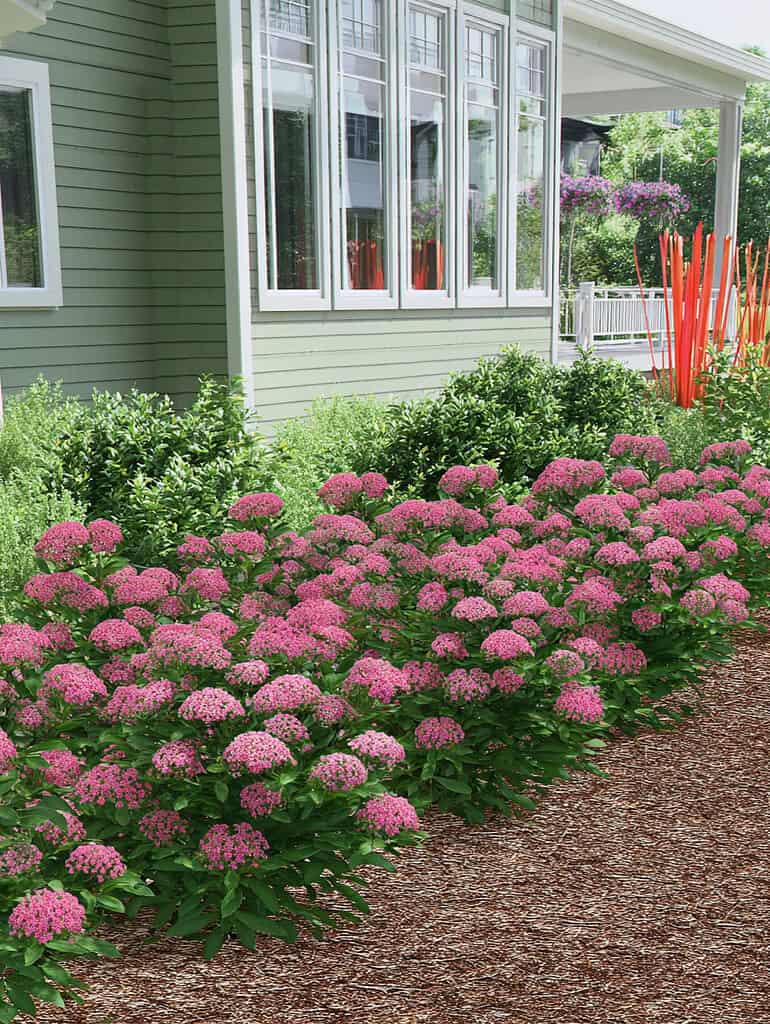 a beautifully landscaped garden in front of a modern suburban home