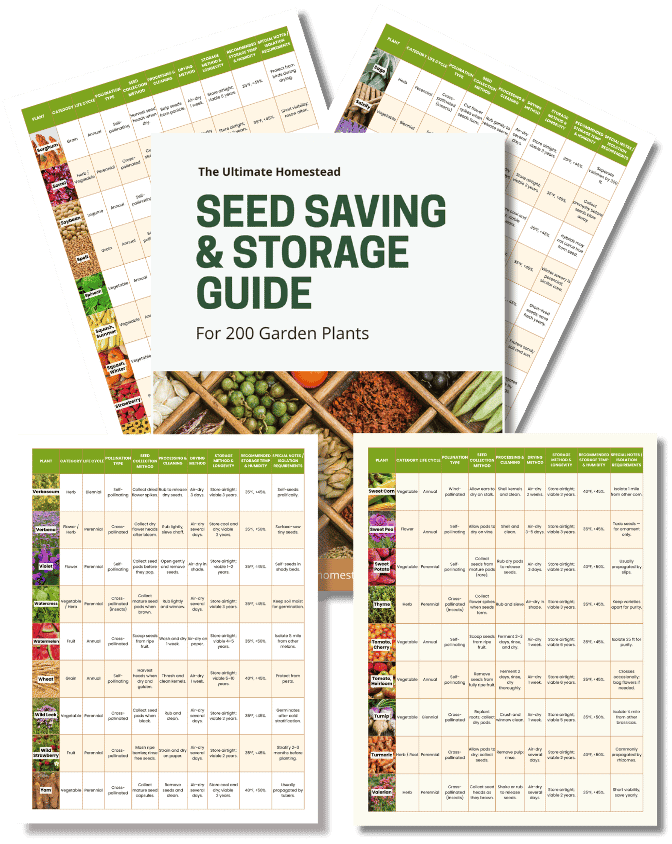 Seed Saving & Storage Guide