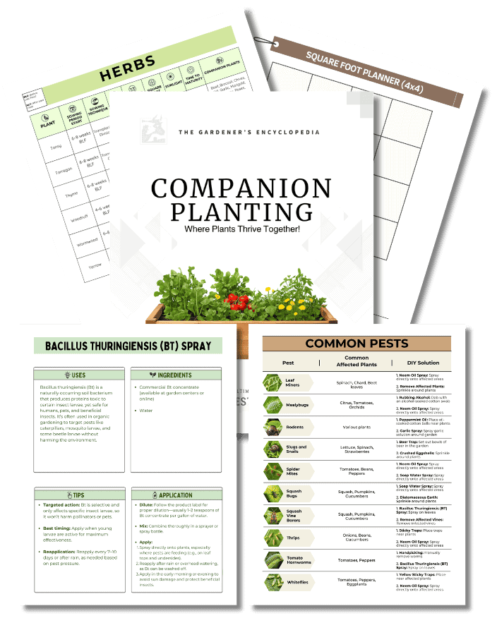 Companion Planting Encyclopedia