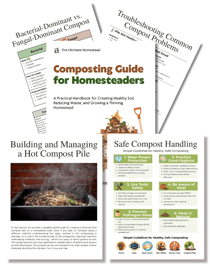 Images For Sales Pages (7 × 9 in) - 2026-02-20T012408.665