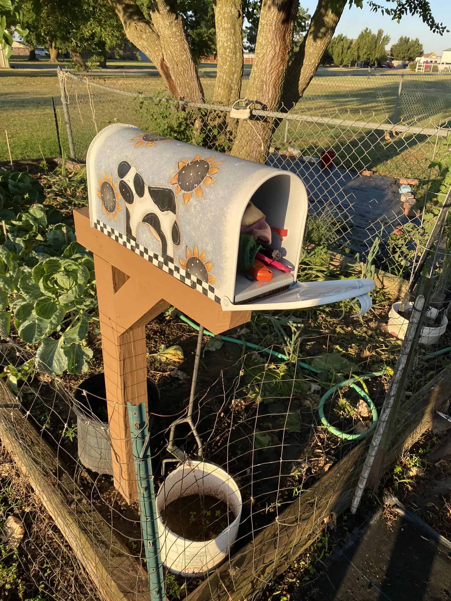 a whimsical, hand-painted mailbox mounted on a wooden post inside a small fenced garden