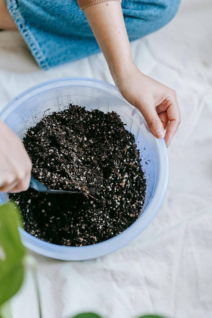 hands mixing fresh potting soil in a translucent plastic bowl.