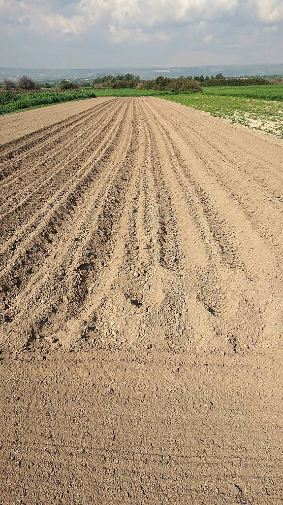 A sandy field, ploughed and empty in springtime

