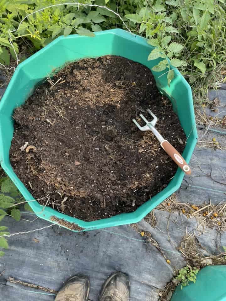 a round, teal-green plastic raised garden container filled with dark, rich soil.