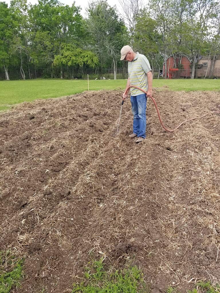 a man watering a freshly prepared garden plot in a rural backyard setting.