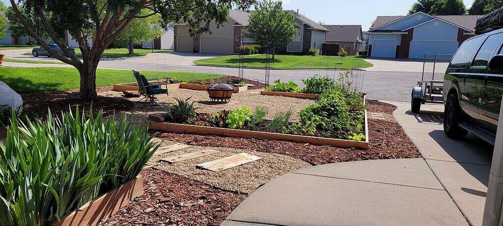 a well-designed suburban front-yard garden featuring raised vegetable beds and a cozy gravel seating area under a mature shade tree.