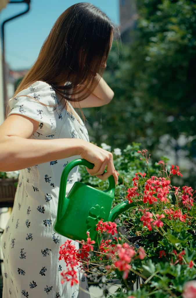a young woman watering vibrant red balcony flowers on a sunny day.