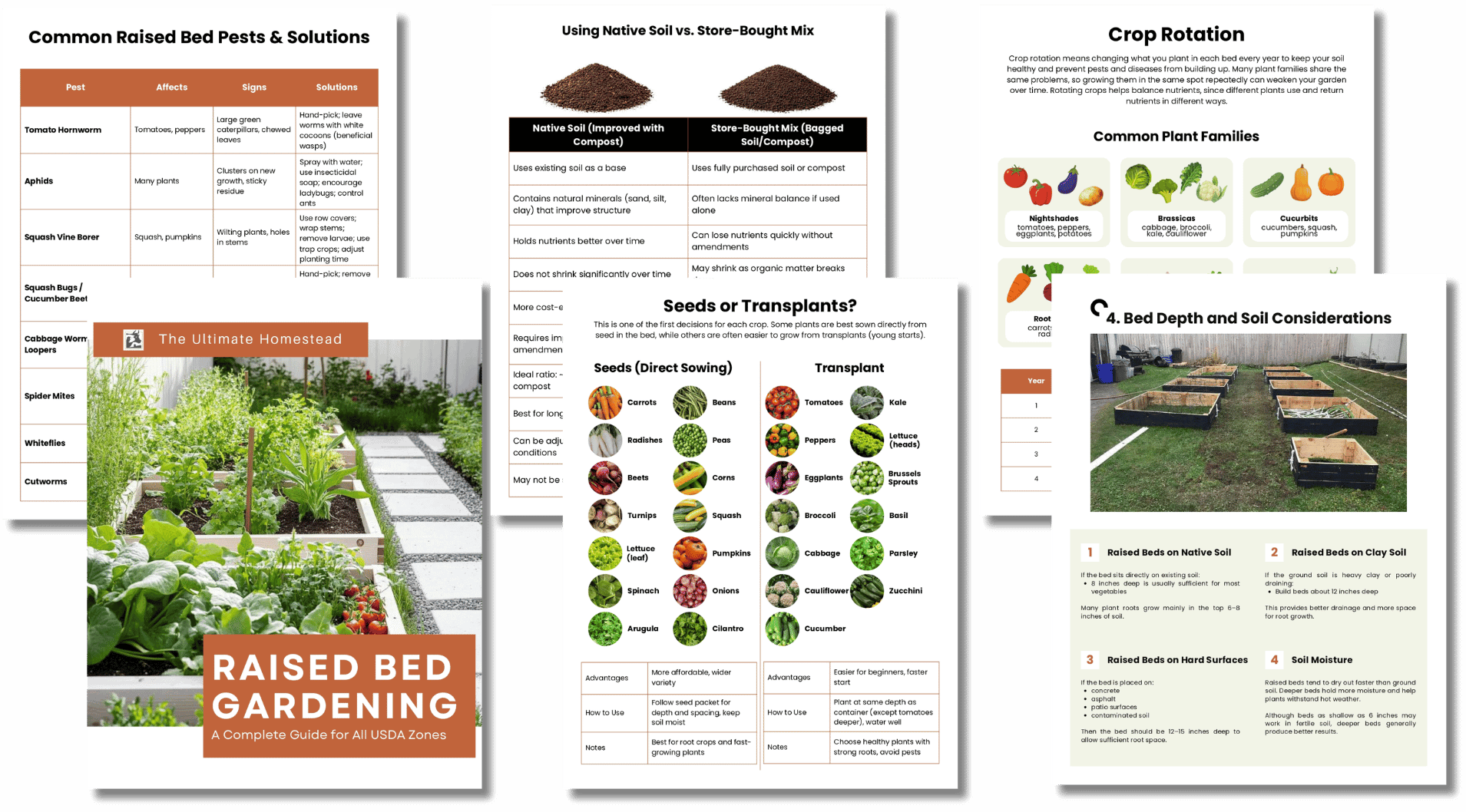 Copy of The Business of Franchising (42)