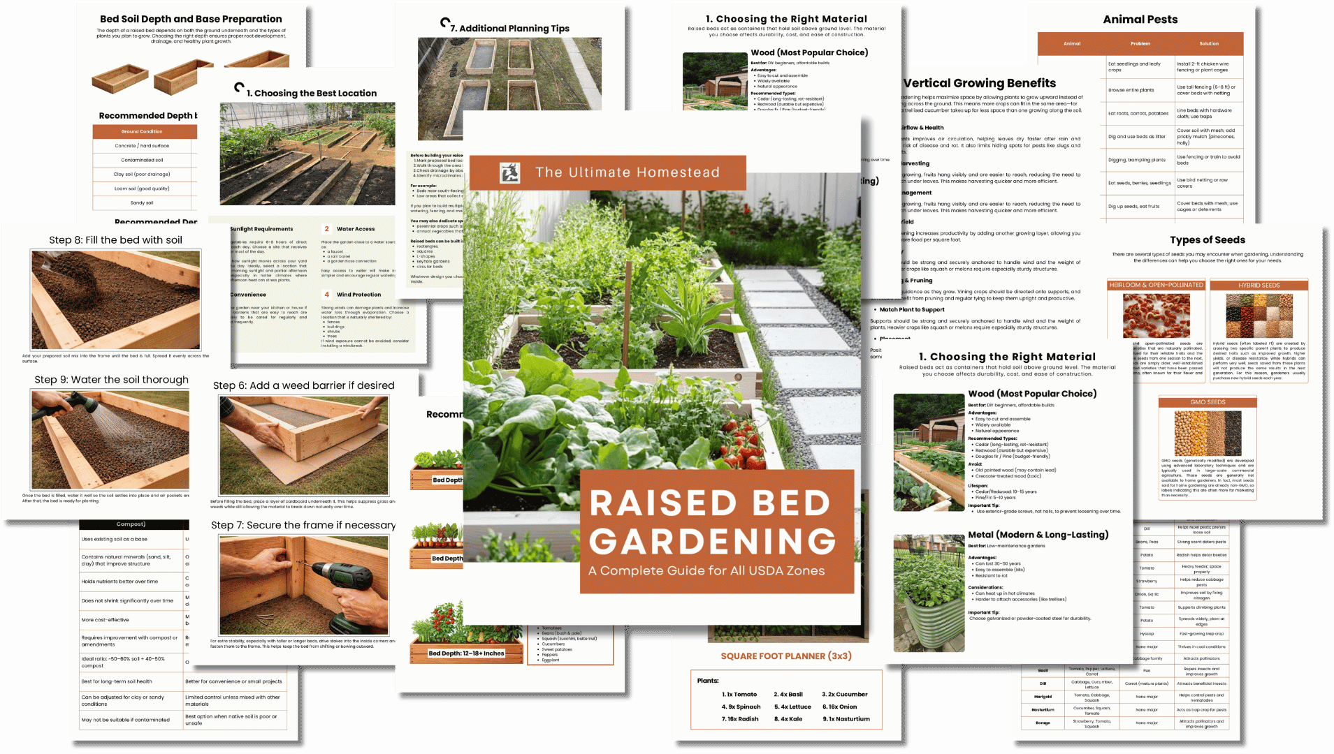 Copy of The Business of Franchising (43)