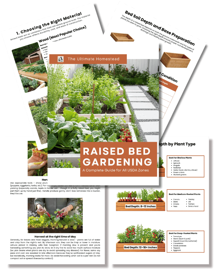 Images For Sales Pages (7 × 9 in) - 2026-03-31T023054.171