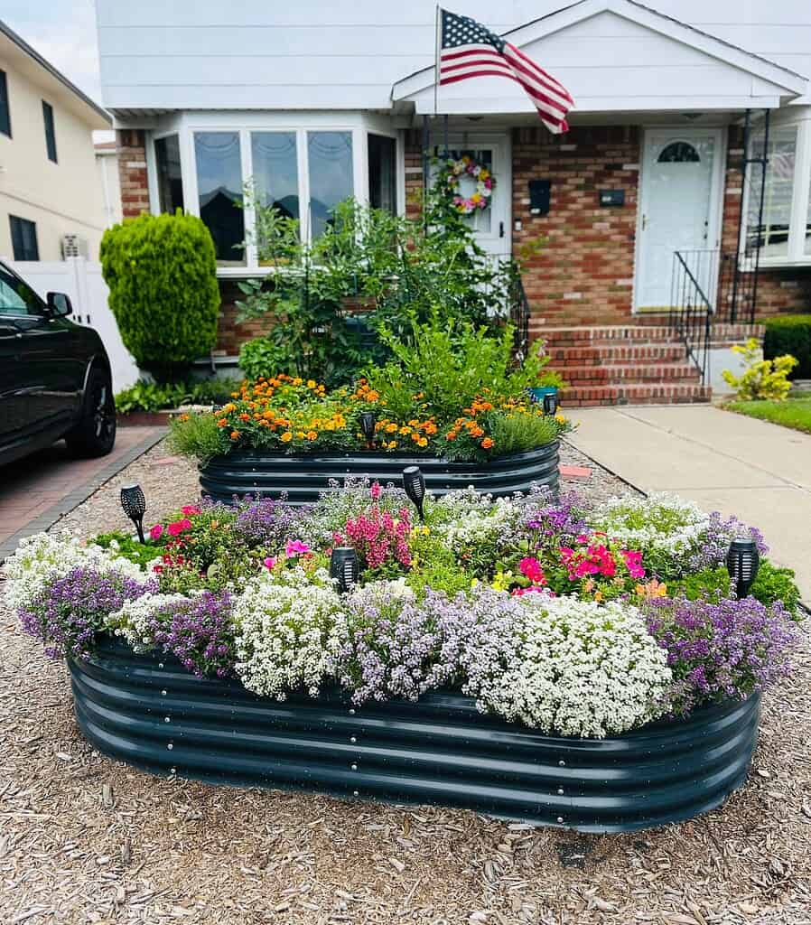 front yard raised flower beds filled with colorful pollinator-friendly plants