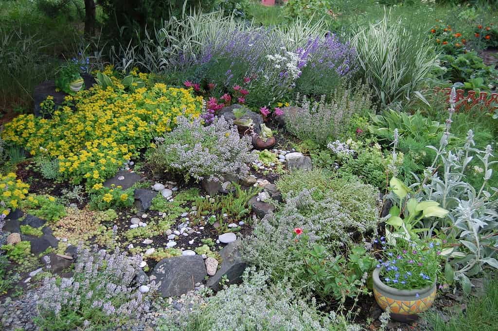 Natural woodland-style shade garden with mixed plants, rocks, and soft flowers arranged in a relaxed, organic layout