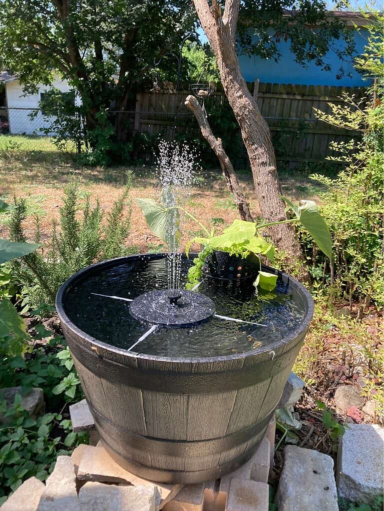 Small solar fountain in a barrel planter surrounded by backyard greenery