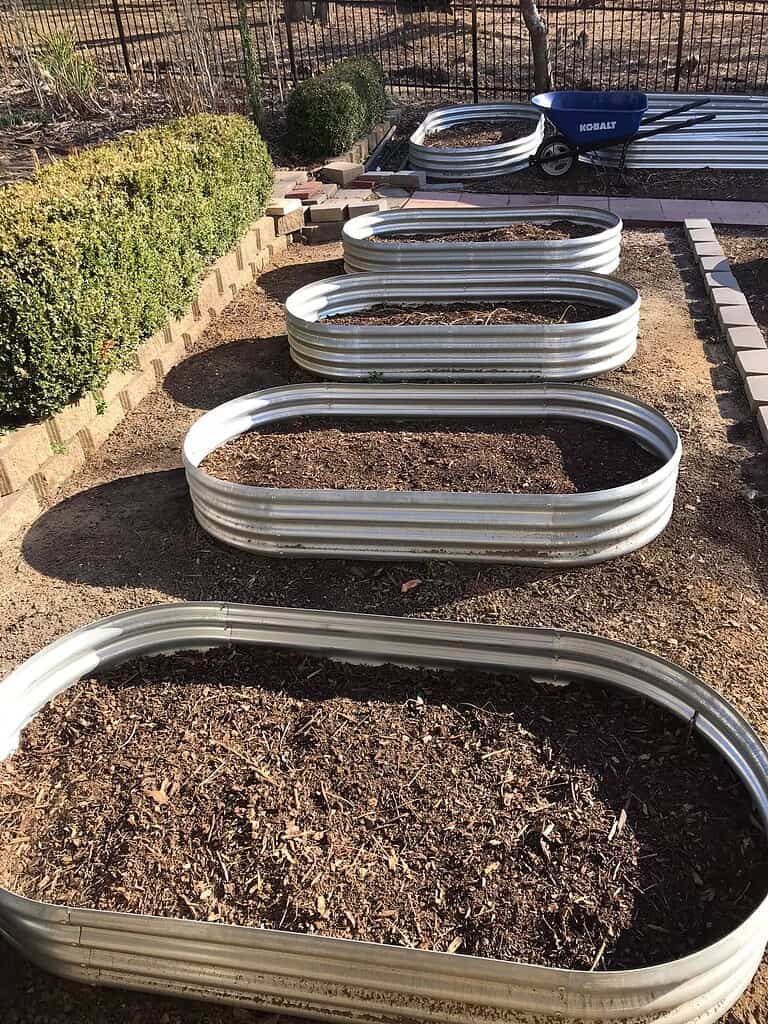 galvanized metal raised garden beds filled with soil in garden rows