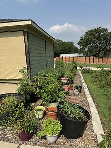 Garden Pots: Beginner's Guide