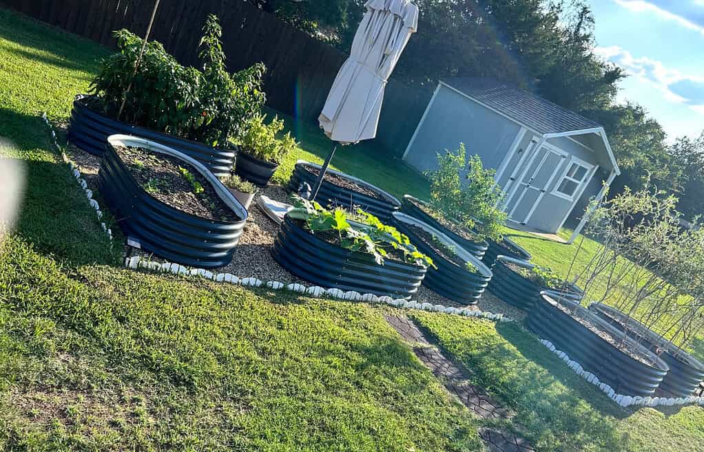 black metal raised garden beds arranged in backyard with plants and gravel border