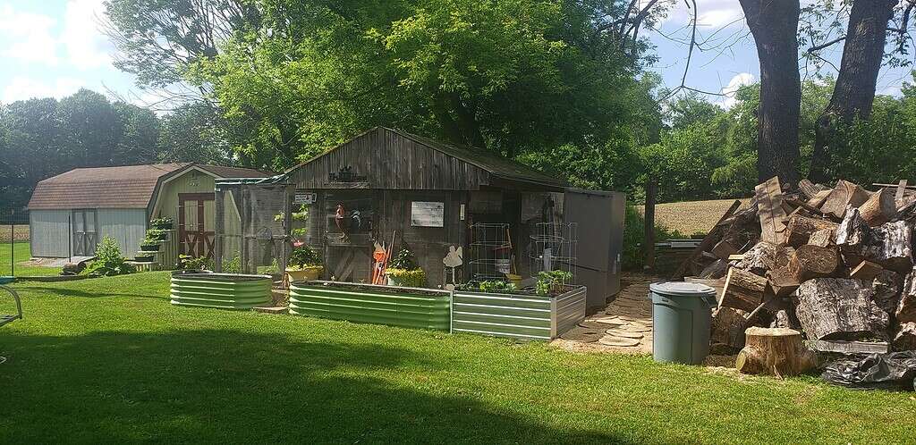 Large wooden chicken coop with attached run, raised garden beds, and backyard homestead setup