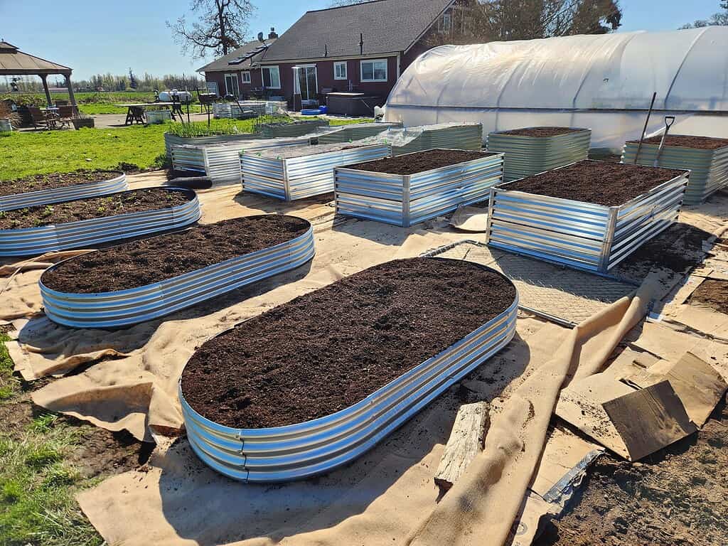 large galvanized metal raised garden beds filled with soil in backyard garden setup