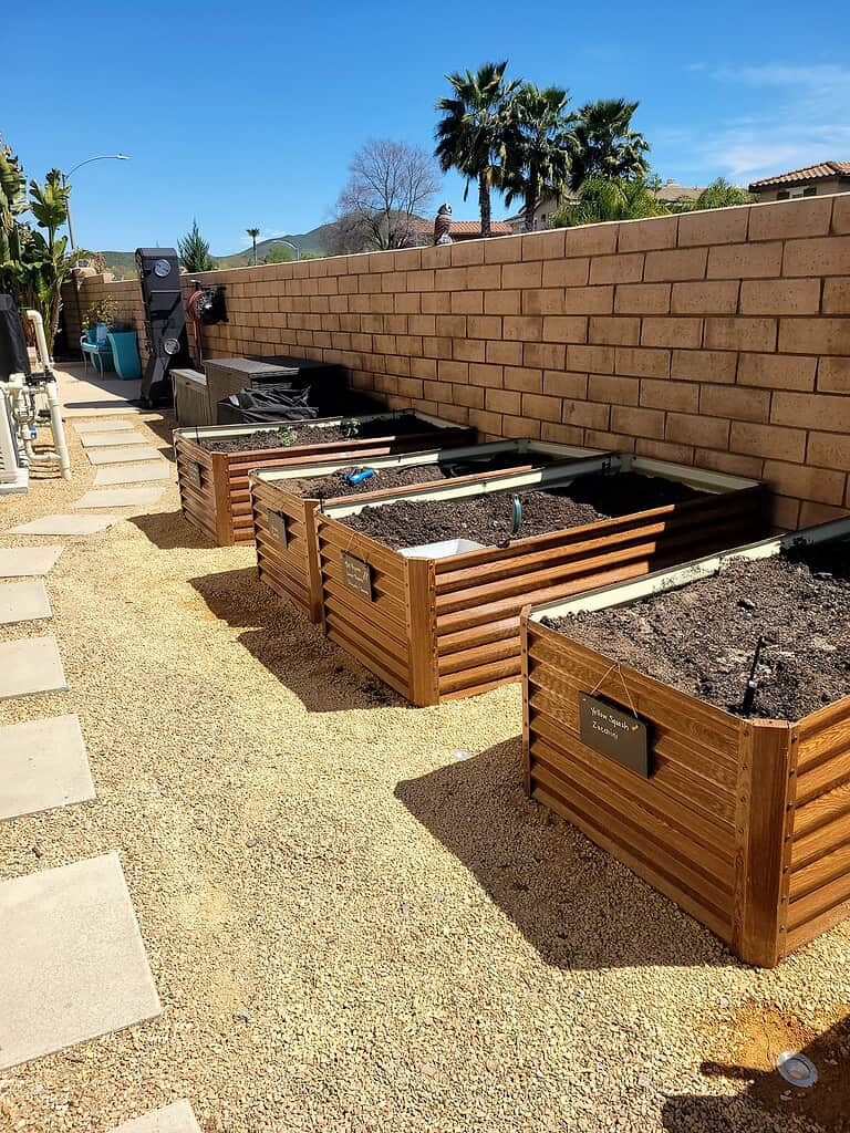metal raised garden beds with soil in backyard along gravel path