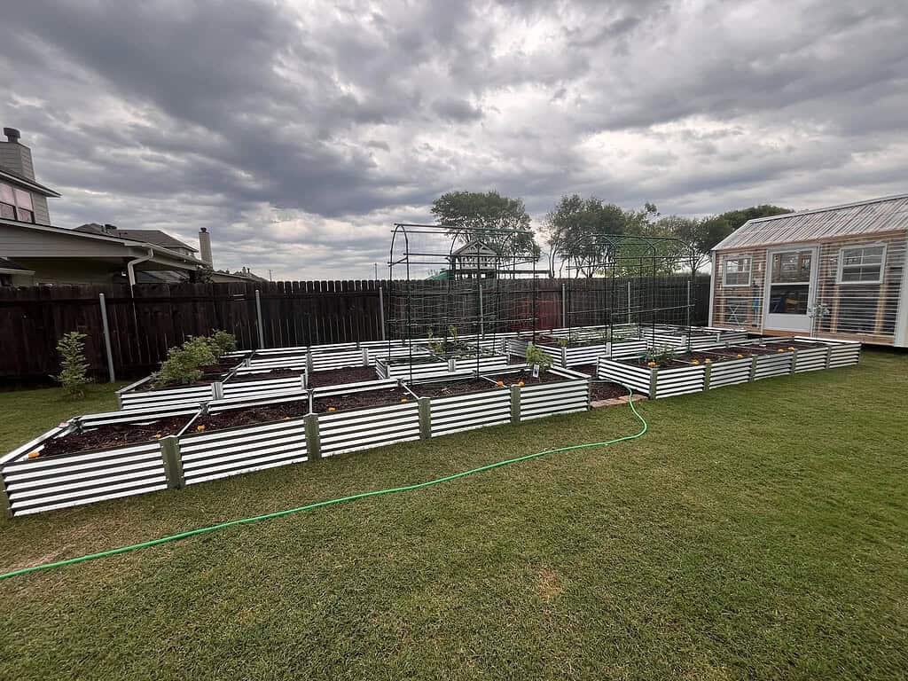 multiple metal raised garden beds with trellis in backyard garden layout