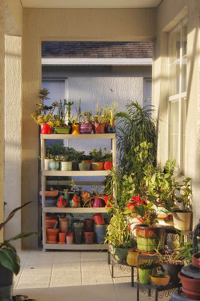 Patio full of plants in pots