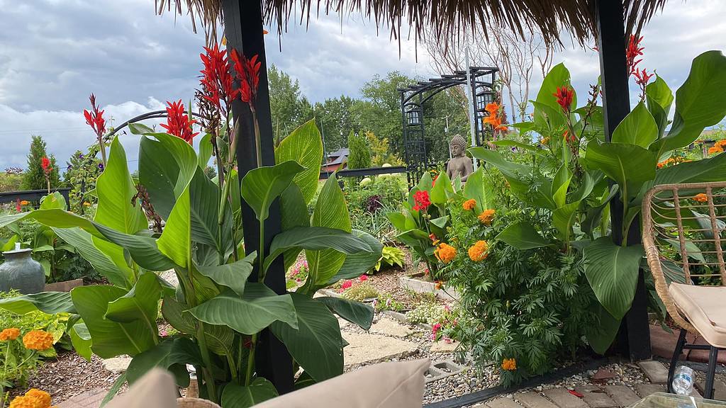 Lush garden seating area with tropical plants, vibrant flowers, and a serene backyard oasis setting