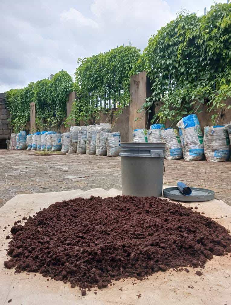 bucket gardening soil mix preparation with bucket container for growing vegetables