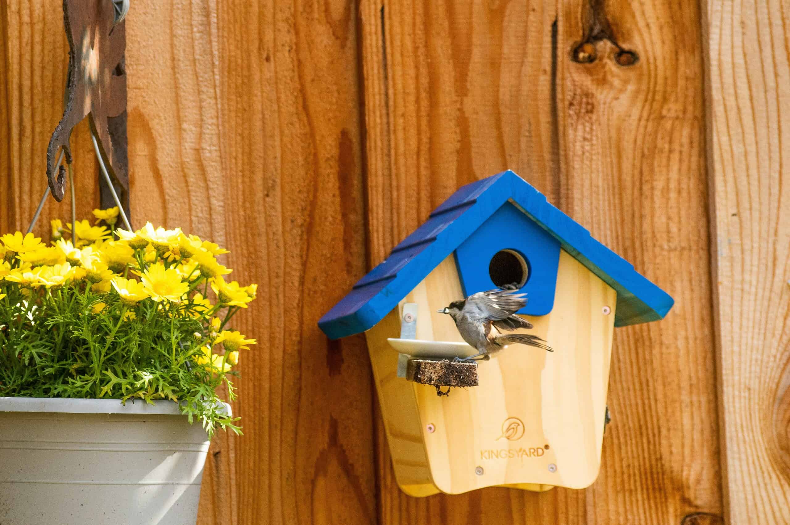 Colorful DIY birdhouses on wooden fence with small bird and garden flowers