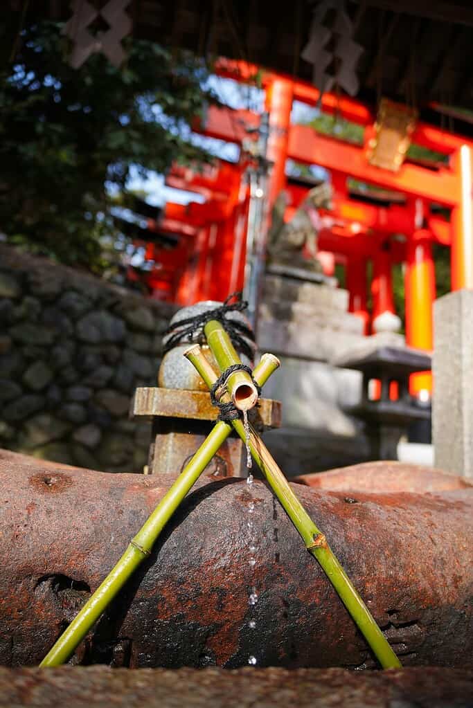 Outdoor water fountain with bamboo spout in a Japanese garden setting near a shrine