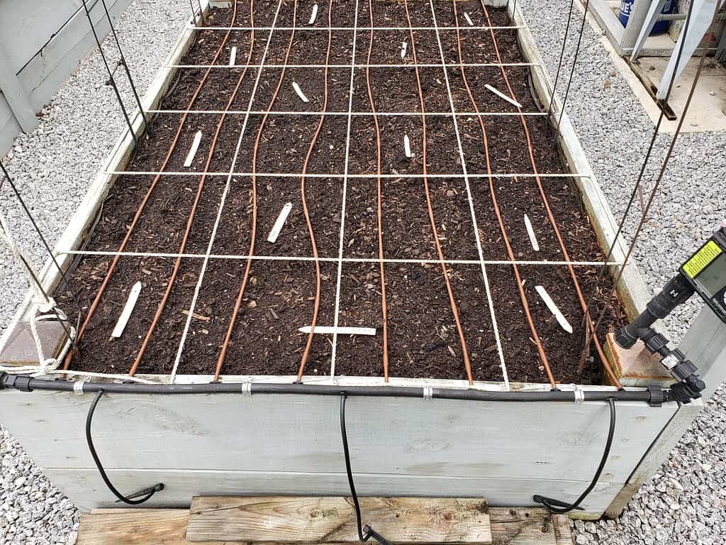 Raised garden bed with soil, drip irrigation lines, and a square planting grid with labels.
