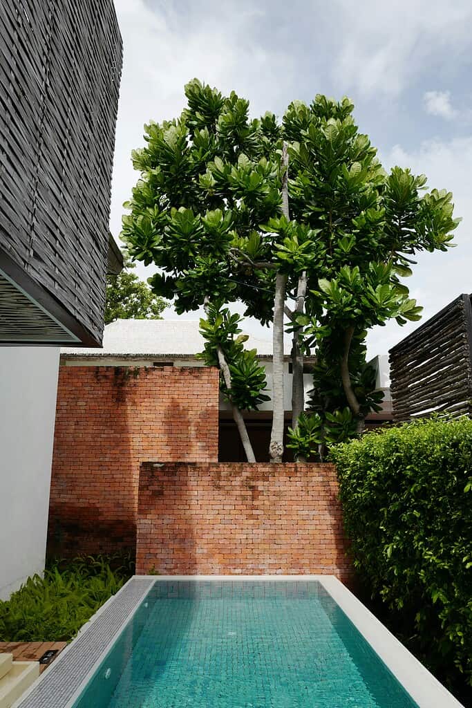 Above ground pool in modern backyard with brick wall and lush greenery