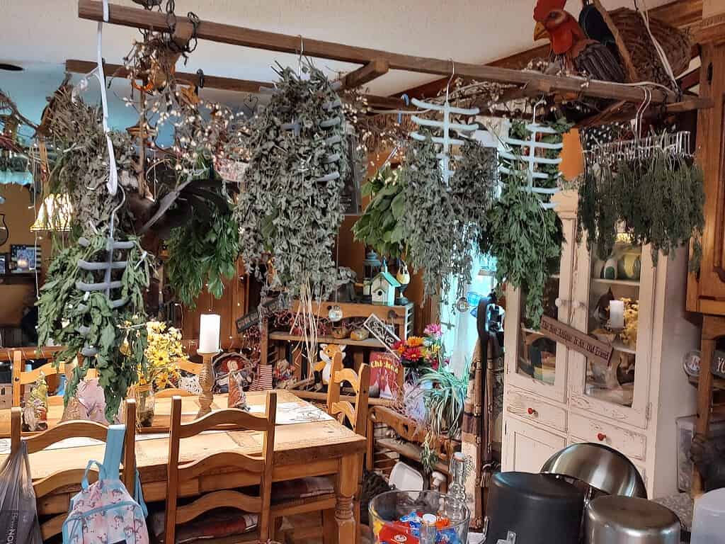 Dry herbs hanging from ceiling racks in a cozy kitchen, air-drying in bundles
