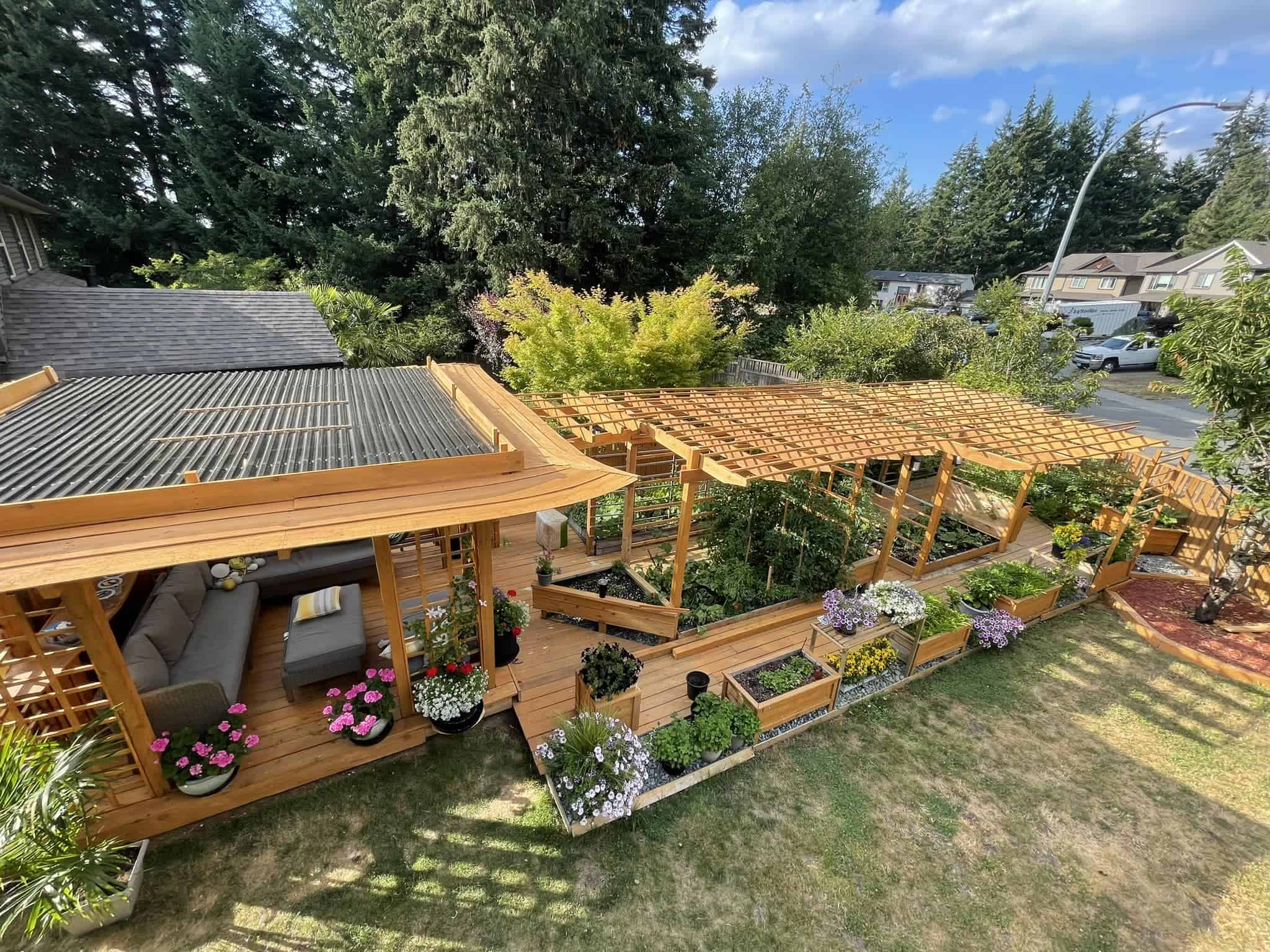 Backyard garden with wooden pergola, raised beds, and lush plants in a landscaped outdoor space