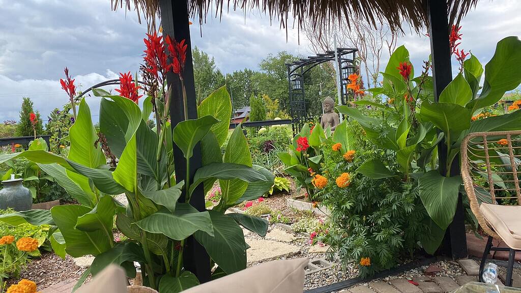 Lush garden view from under a shaded patio with large green leaves, red and orange flowers, a decorative arch, and a Buddha statue in the background