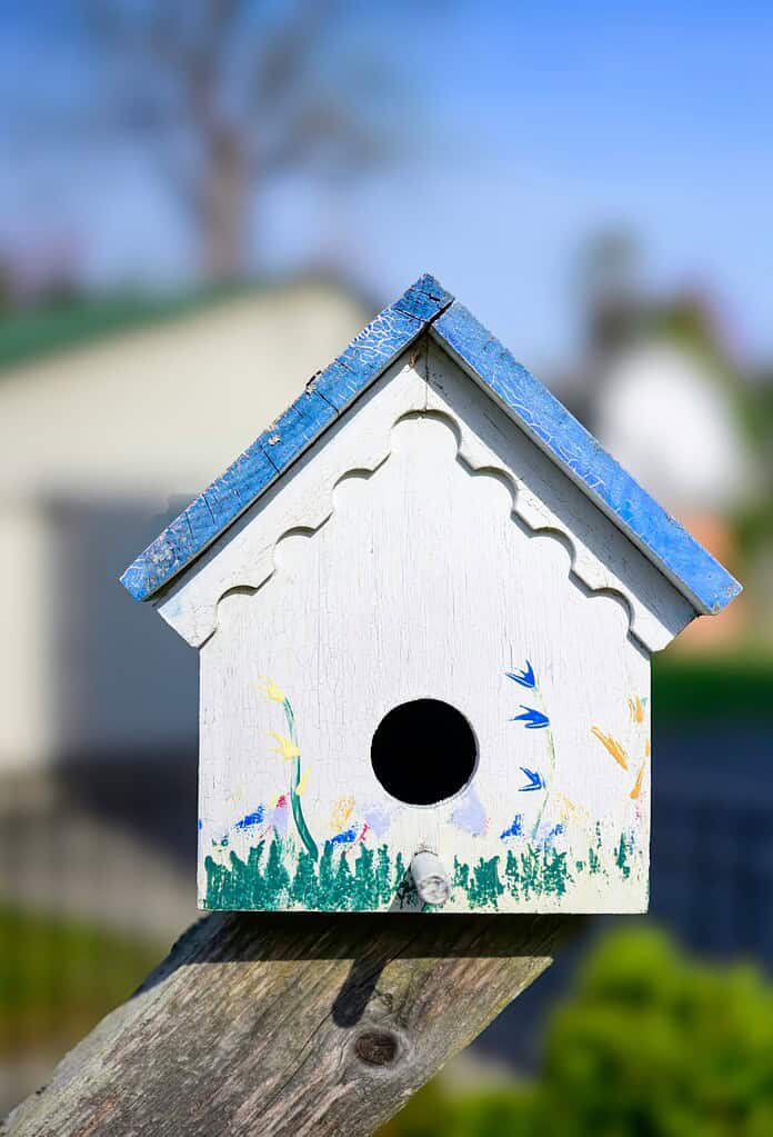 Painted wooden birdhouse with blue roof and floral design on fence post outdoors