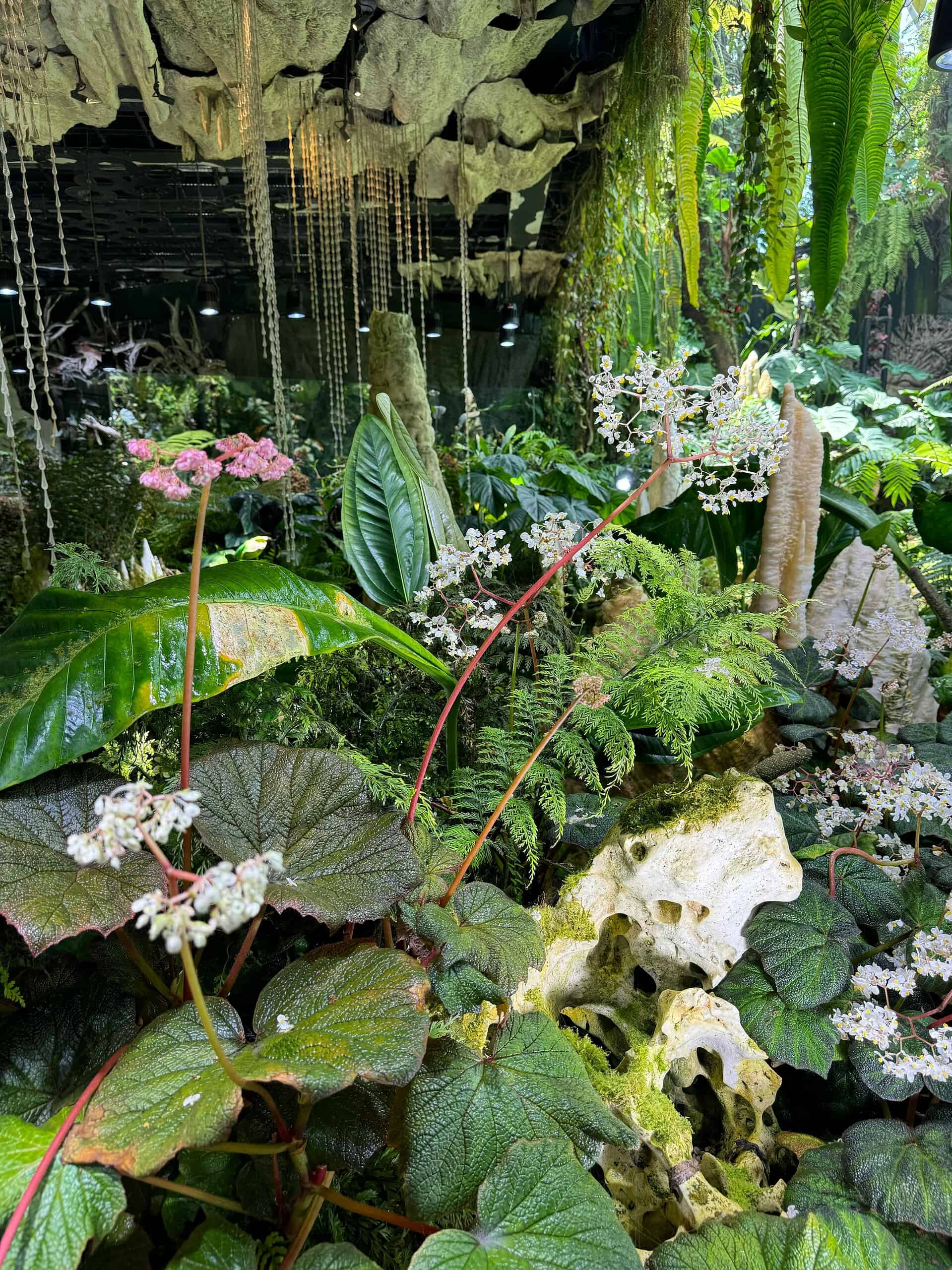 Lush indoor garden with dense green foliage, pink flowers, and hanging moss over rocks.