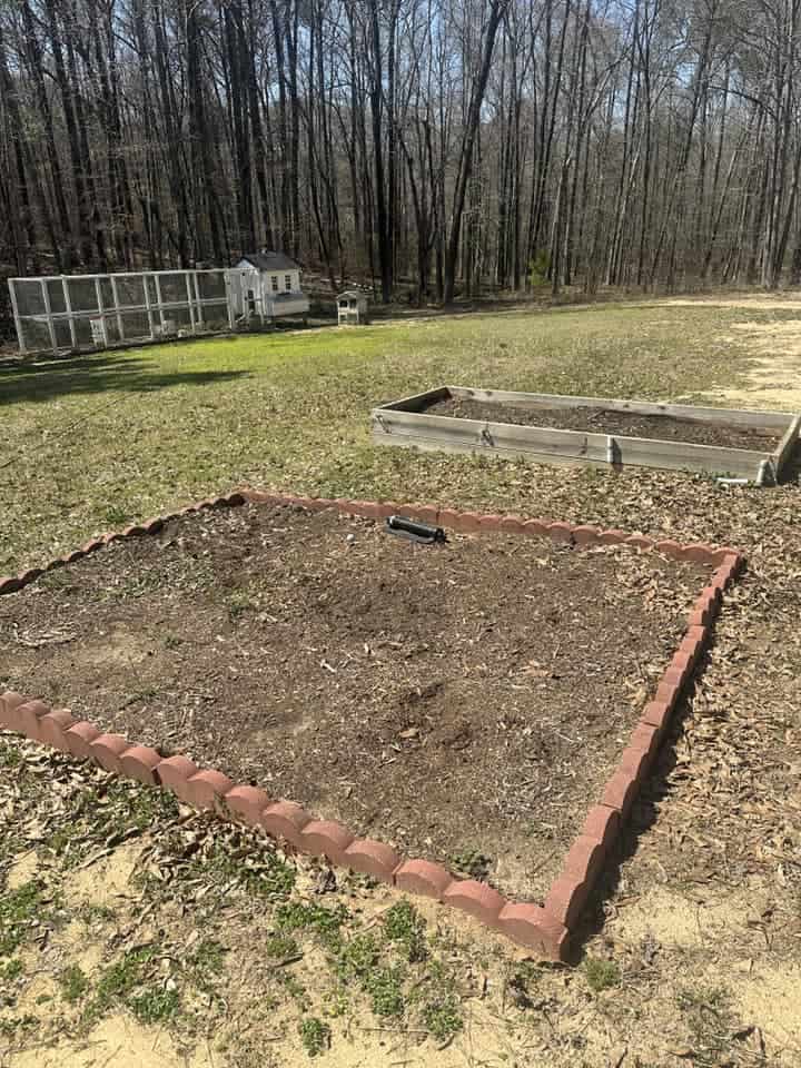 Raised garden beds with bare soil in a backyard near a wooded area and small coop.

