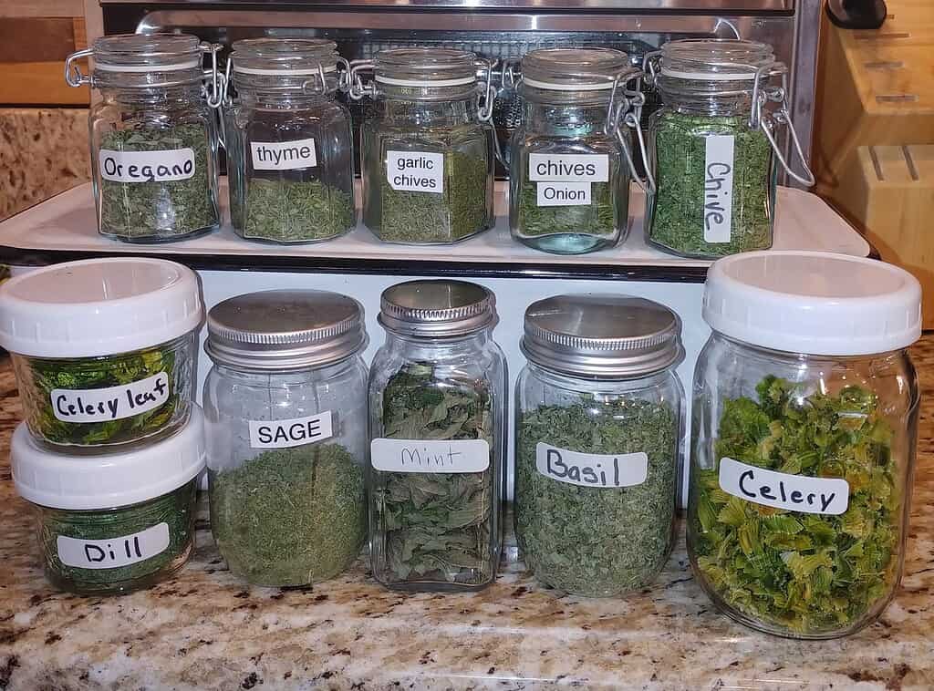 Labeled jars filled with homemade dry herbs stored for cooking and seasoning
