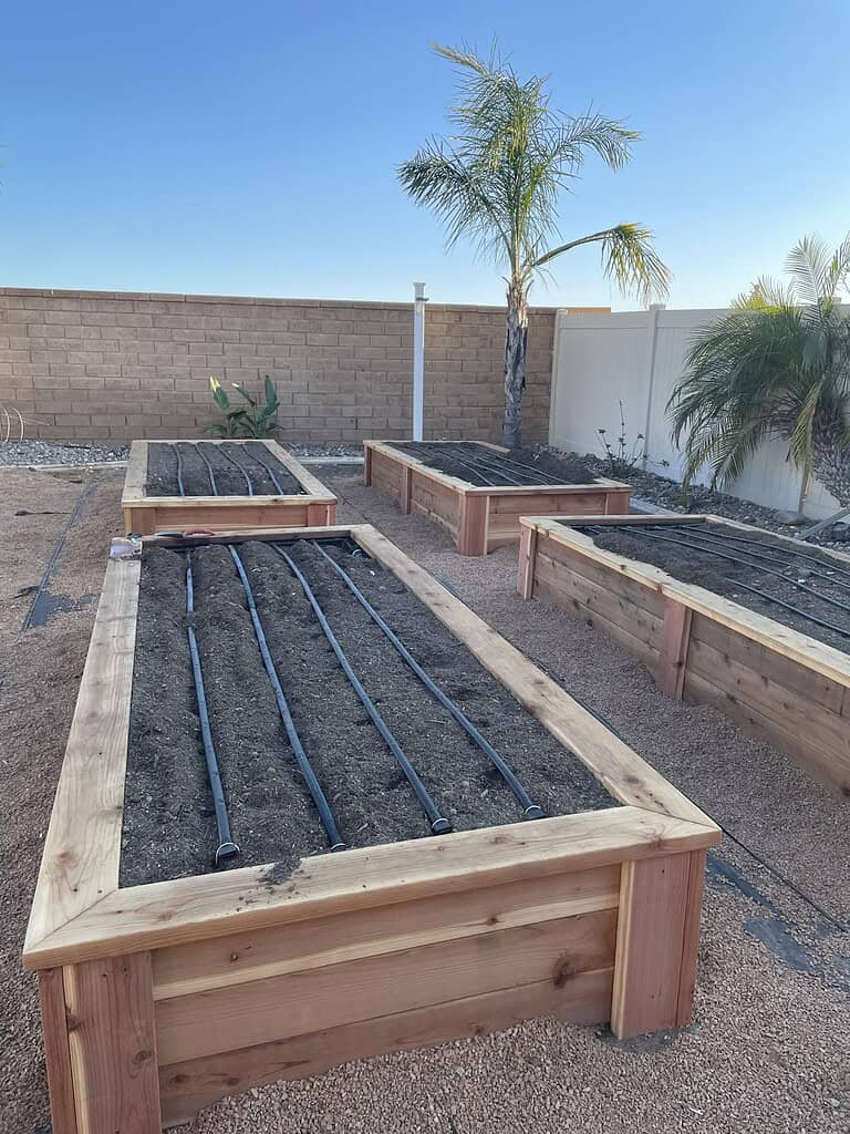 New wooden raised garden beds with drip irrigation lines in a sunny backyard.
