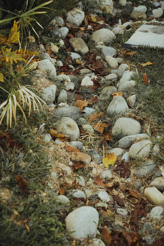 A stream of rocks and leaves in a garden