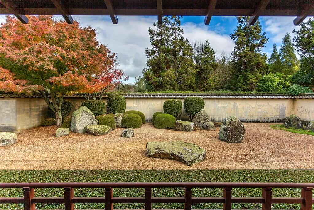 Japanese rock garden with raked gravel, large natural stones, trimmed shrubs, and a maple tree in a serene Zen landscape.